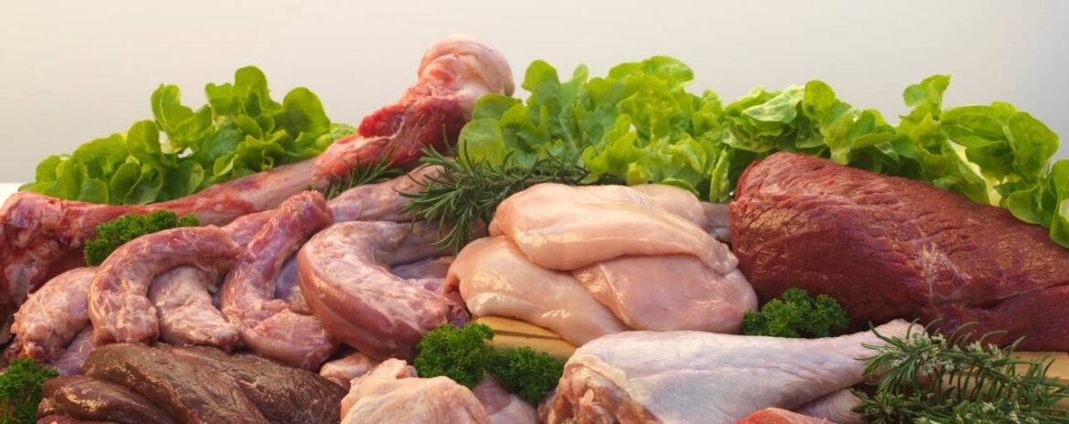 Val Talks Pets Is Raw Food Good For My Dog? header banner