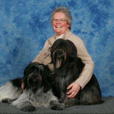 Anne and two Schapendoes