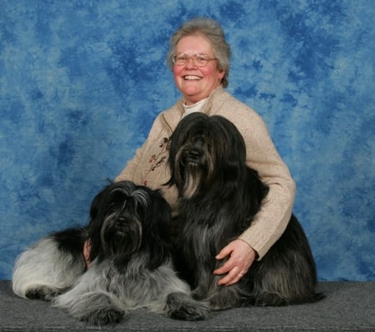 Anne and two Schapendoes