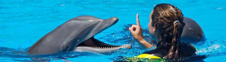 Ethical Animal Tourism