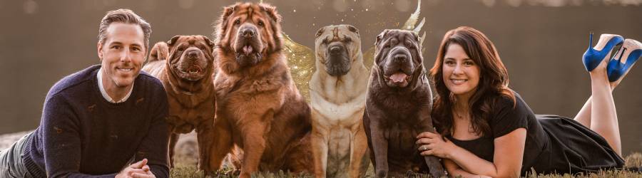 Pets Are Family
