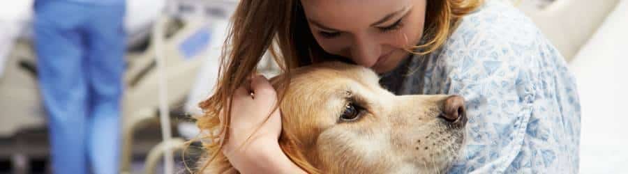 Val Talks Pets banner image should pets be allowed in hospitals