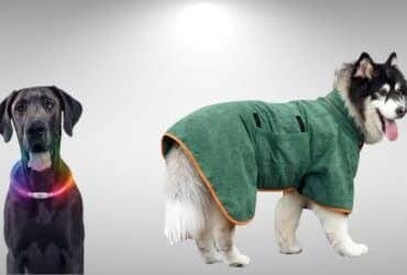 Val talks Pets A Few Of My Favorite Things Header Banner