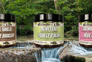 Blends For Life Val Talks Pets Banner